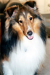 Bailey
