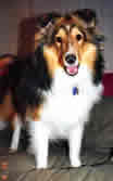 Bailey